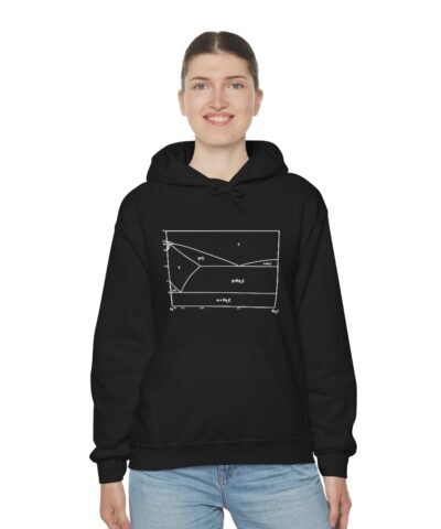 Fe - C Faz Diyagramı Metalurji Kapşonlu 3 İplik Şardonlu Unisex - Görsel 5