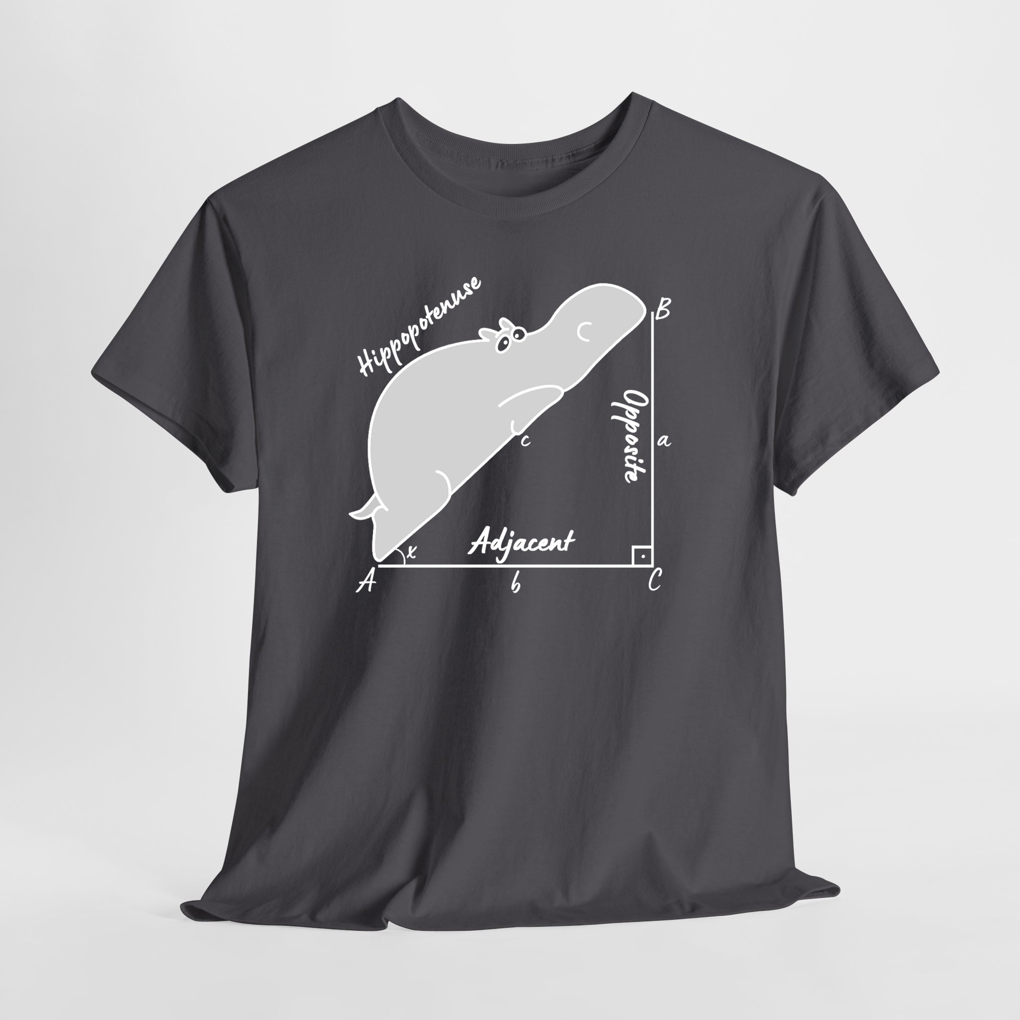 Hippopotenuse - Hipotenüs - Hipopotam Matematik Geometri Unisex Tişört - Görsel 3