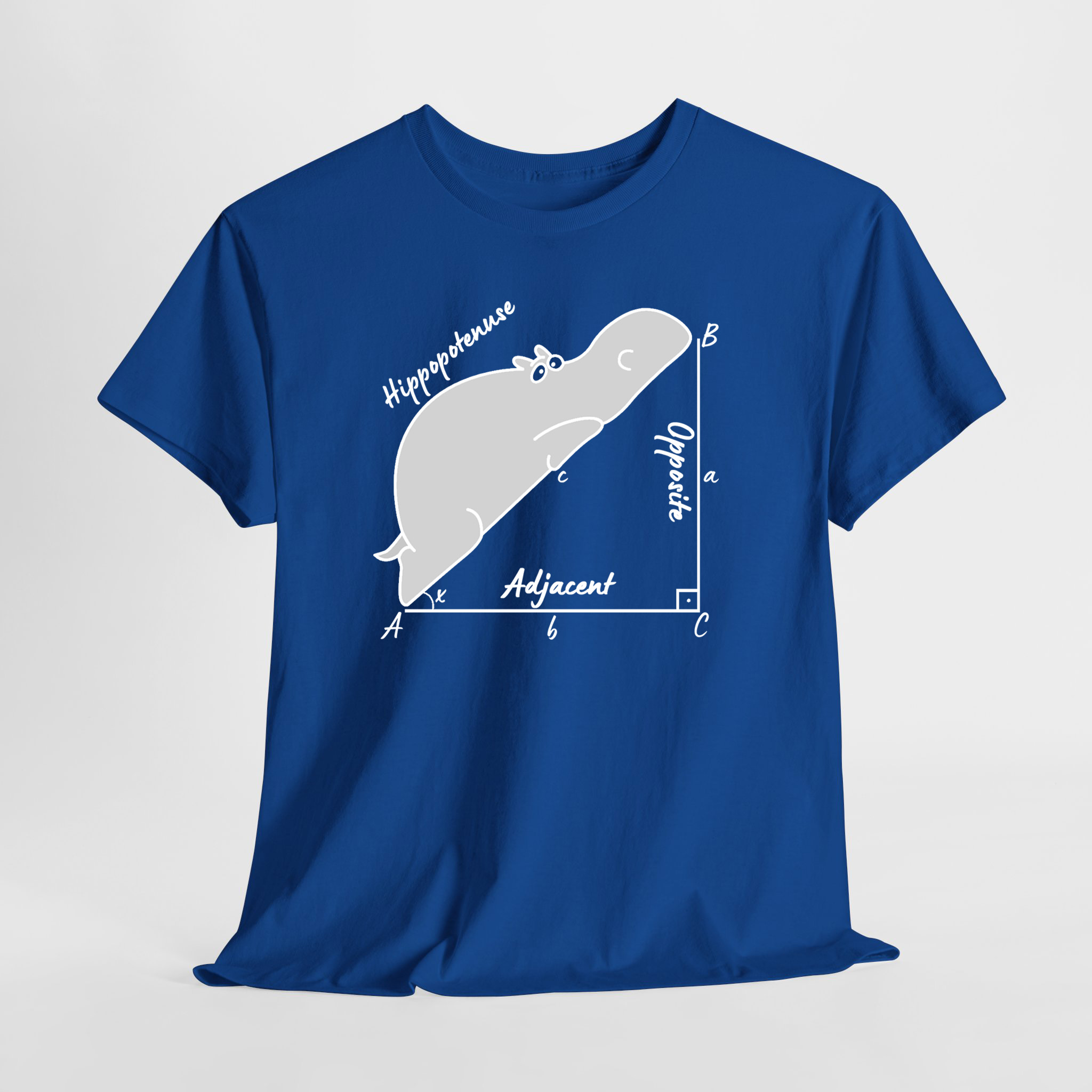 Hippopotenuse - Hipotenüs - Hipopotam Matematik Geometri Unisex Tişört - Görsel 7