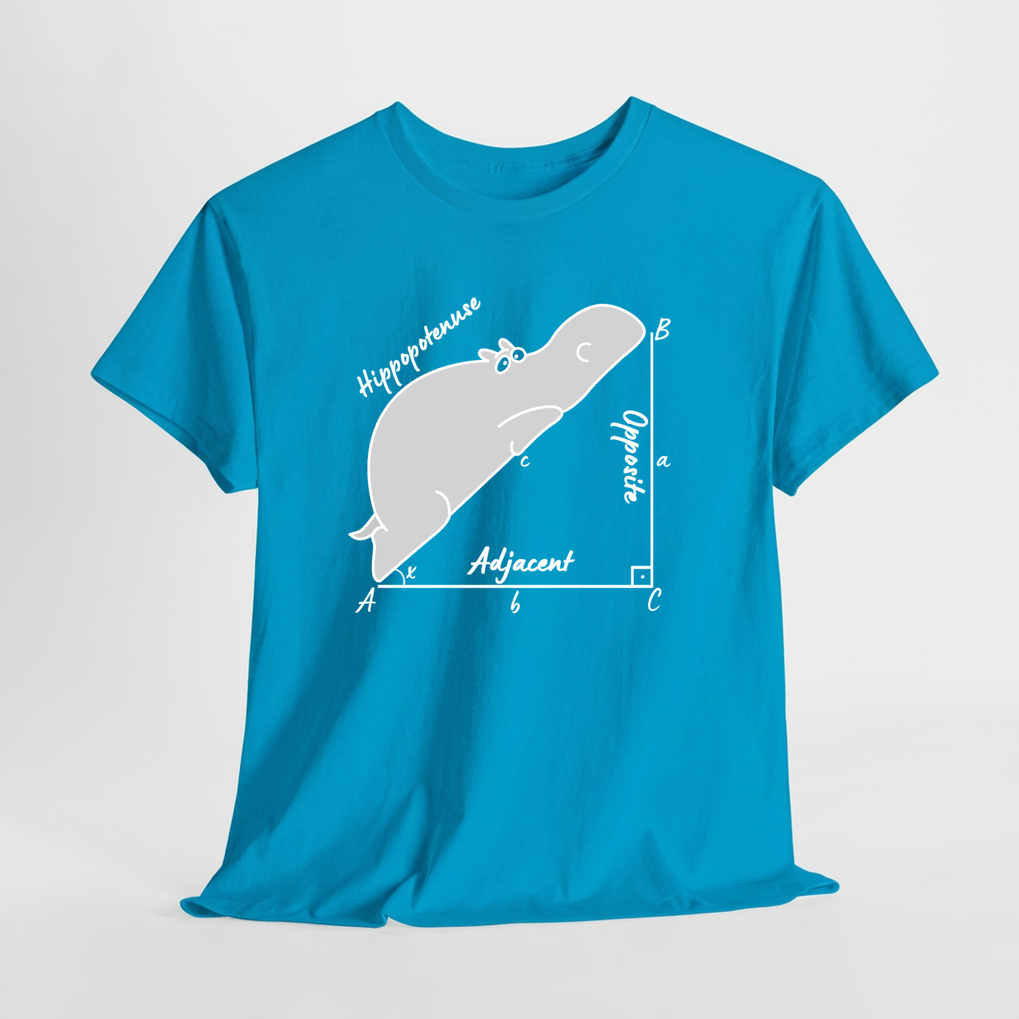 Hippopotenuse - Hipotenüs - Hipopotam Matematik Geometri Unisex Tişört - Görsel 9
