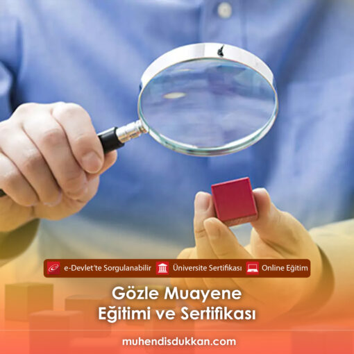 Gözle Muayene Sertifika Programı
