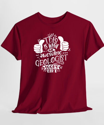 This is What an Awesome Geologist Looks Like Unisex Tişört