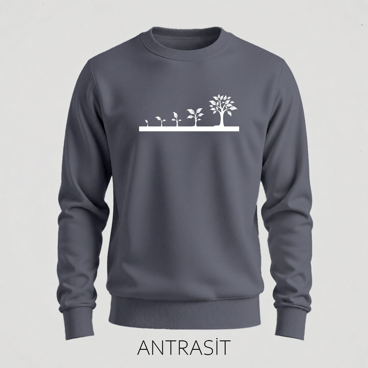 Antrasit