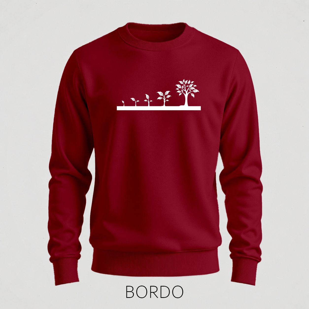 Bordo