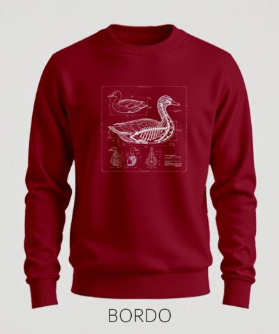 Bordo