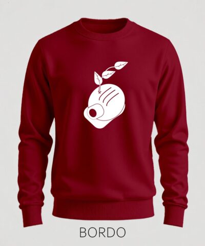 Bordo
